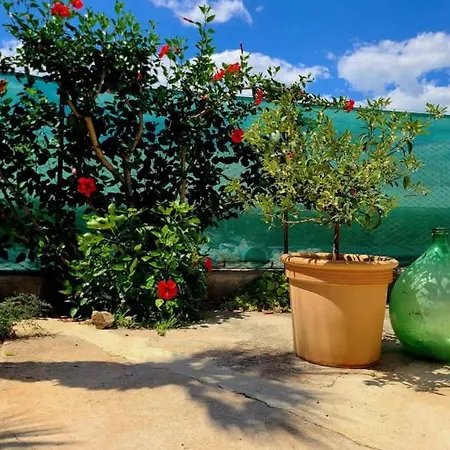 Al Nido Delle Rondini Bed & Breakfast Bellizzi